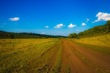 Fototapeta premium Road to field