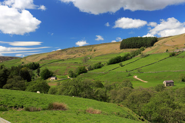 Obraz premium Summer view through Nidderdale ANOB, North Yorkshire, England.