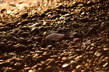 Volcanic pebbles on the ocean close up at sunset. The stones. Sea. Ocean.