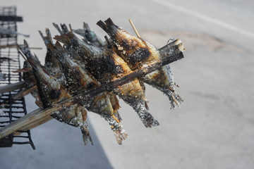 Grilled fish on the street stove in Thailand