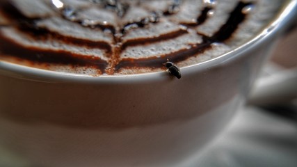  bug on a cup of coffee