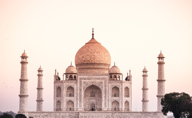 mausoleum Taj Mahal with tree no environment