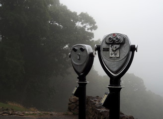 foggy beach, ocean, fog, marsh, foggy landscape