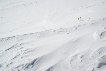 Fototapeta na wymiar 雪原の雪模様　高山の様子