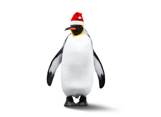 Emperor Penguin In New Year Helper