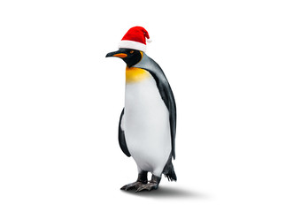 Emperor Penguin In New Year Helper