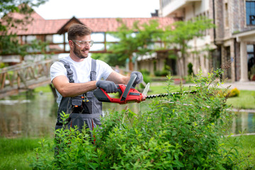 Gardener maintaining bushes with electric saw