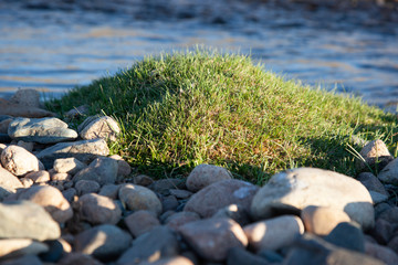 Mongolia grass and stones on a river shore