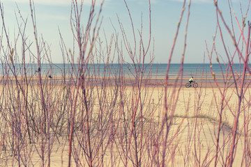 Sandy yellow beach of the Baltic Sea in spring