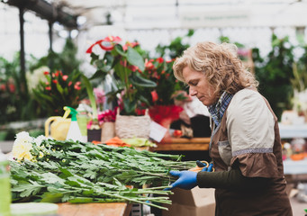 Florist with professional clothing in a nursery.