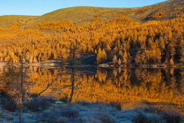 Autumn yellow forest in hills with a small lake and reflection of trees