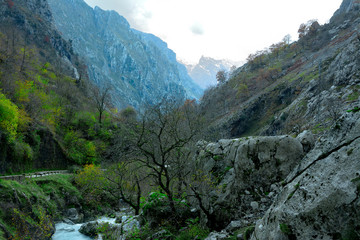 montaña en los Picos de Europa