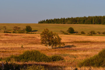 Obraz premium Auf dem Erzgebirgskamm bei Adolfsgrün im Grenzgebiet 
