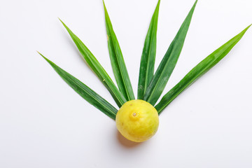Yellow lemon and green leaf on white background 