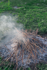 Fire of dry twigs on the green grass