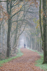 Naklejka premium Weg im Naturschutzgebiet Zwillbrocker Venn