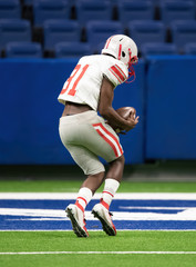 Fototapeta premium Great action photos of football players making amazing plays during a football game