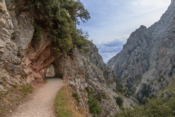 Mountain pathway and small tunnel