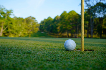 Blurred golf ball on green in the evening golf course.