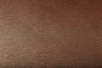 Fototapeta premium Brown skin texture close up as background. In full screen.