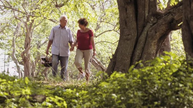 Old people, senior couple, elderly man and woman, husband and wife in park, active seniors, retirement age. Outdoors activity, leisure, recreation. Grandpa and grandma holding hands, doing picnic 