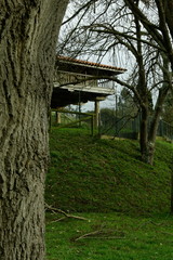 Hórreo parcialmente oculto por un arbol