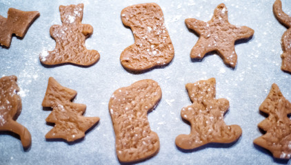 Gingerbread cookies on parchment before baking: star, bear, christmas tree and santa boot. Preparations of raw dough in xmas time. Homemade baking. Healthy food without sugar with honey only.