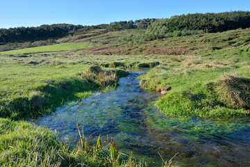  Stream that ends on the beach of Moreira, Muxía, Galicia, Spain. These small streams are typical...