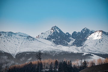 mountains in winter