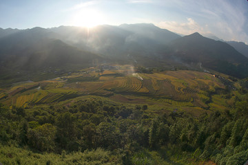 Fototapeta premium Green, brown, yellow and golden rice terrace fields of Tu Le valley, Northwest of Vietnam 