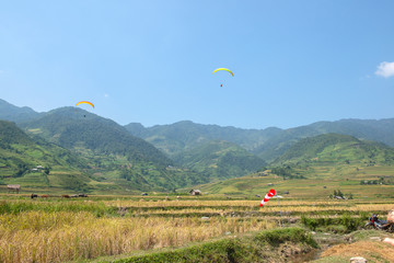 Paraglider flies over the Green, brown, yellow and golden rice terrace fields of Tu Le valley, Northwest of Vietnam	
