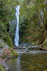 Fototapeta premium Beautiful Waterfall surrounded by Trees in Goldstream Provincial Park