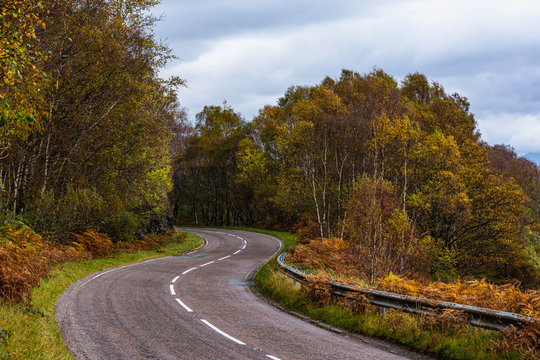Bendy, country road in Scottish highlands in autumn.Scenic drive on Scottish countryside.S-shape rural road with trees on both sides.Travel and transportation.