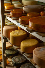 Cow milk cheese, stored in a wooden shelves and left to mature