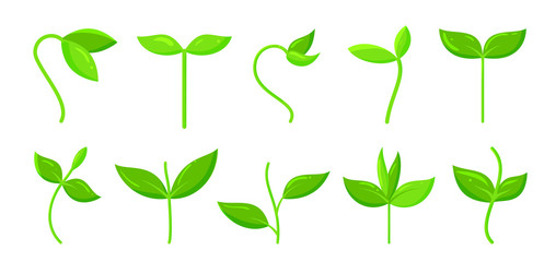 Spring green grass sprout plant cartoon icon set © Suesse