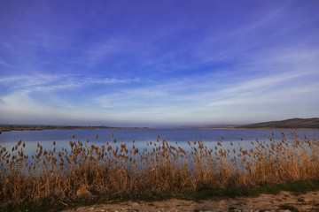 view of the sky above the lake through dry tall grass