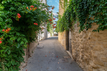Fototapeta na wymiar alley village of Lourmarin in the Luberon Provence