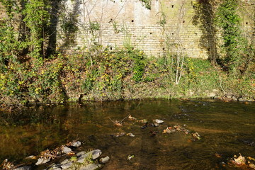 Wasserlandschaft an der Stadtmauer von Neustadt an der Weinstraße
