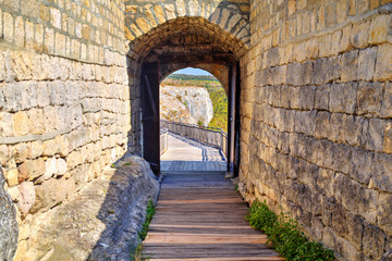 Opened gate of an ancient castle - close up view