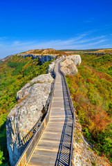 Wooden bridge thru a beautiful landscape leading to the horizon