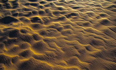 sunrise in desert. sand wind