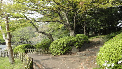 Imperial Gardens Tokyo