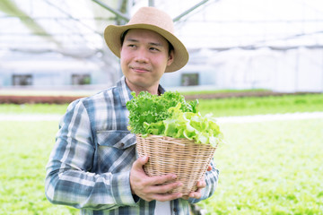 Portrait of young man farmer harvesting vegetable from hydroponics farm.