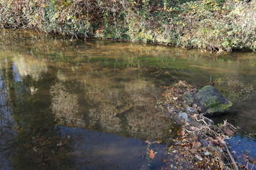 Flusslandschaft mit der Spiegelung einer alten Stadtmauer