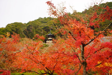 日本の古都　京都の秋の風景　南禅寺と永観堂