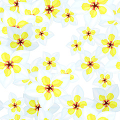 flower seamless pattern with white yellow plumeria on white background. Soft delicate endless texture. Stock vector illustration