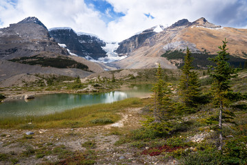 Fototapeta premium Icefield Parkway, Jasper National Park, Alberta, Canada