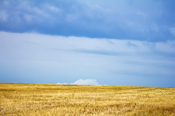 harvested field before a thunderstorm clouds