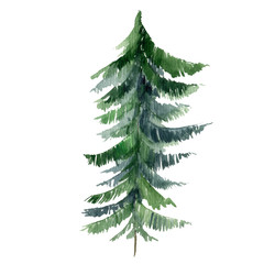 Set of Christmas tree watercolor icon. Collection of New Years xmas trees with heralds, striped christmas pine.