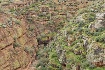 Obraz premium Spring landscape of an arroyo along the Apace Trail, Tonto National Forest, Arizona, USA 
